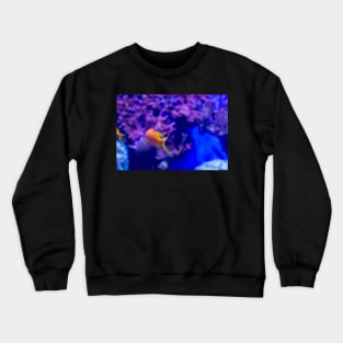 Goldfish in aquarium Crewneck Sweatshirt